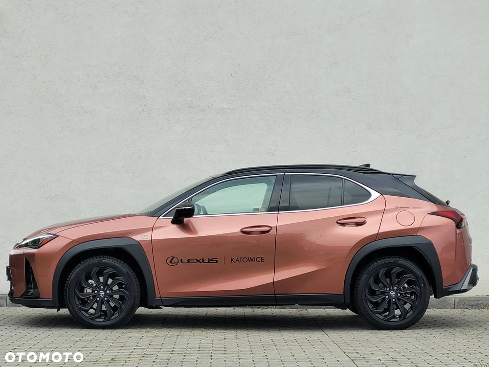 Lexus UX 300h F Sport Design - 8