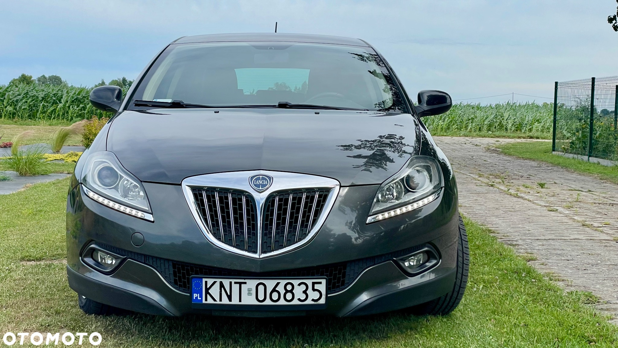 Lancia Delta 1.6 MJ Oro - 5