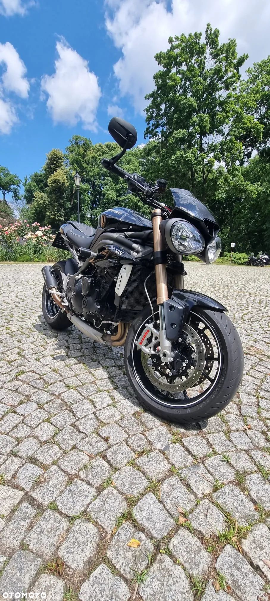 Triumph Speed Triple - 1