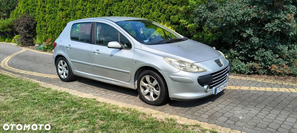 Peugeot 307 1.6 Oxygo - 10