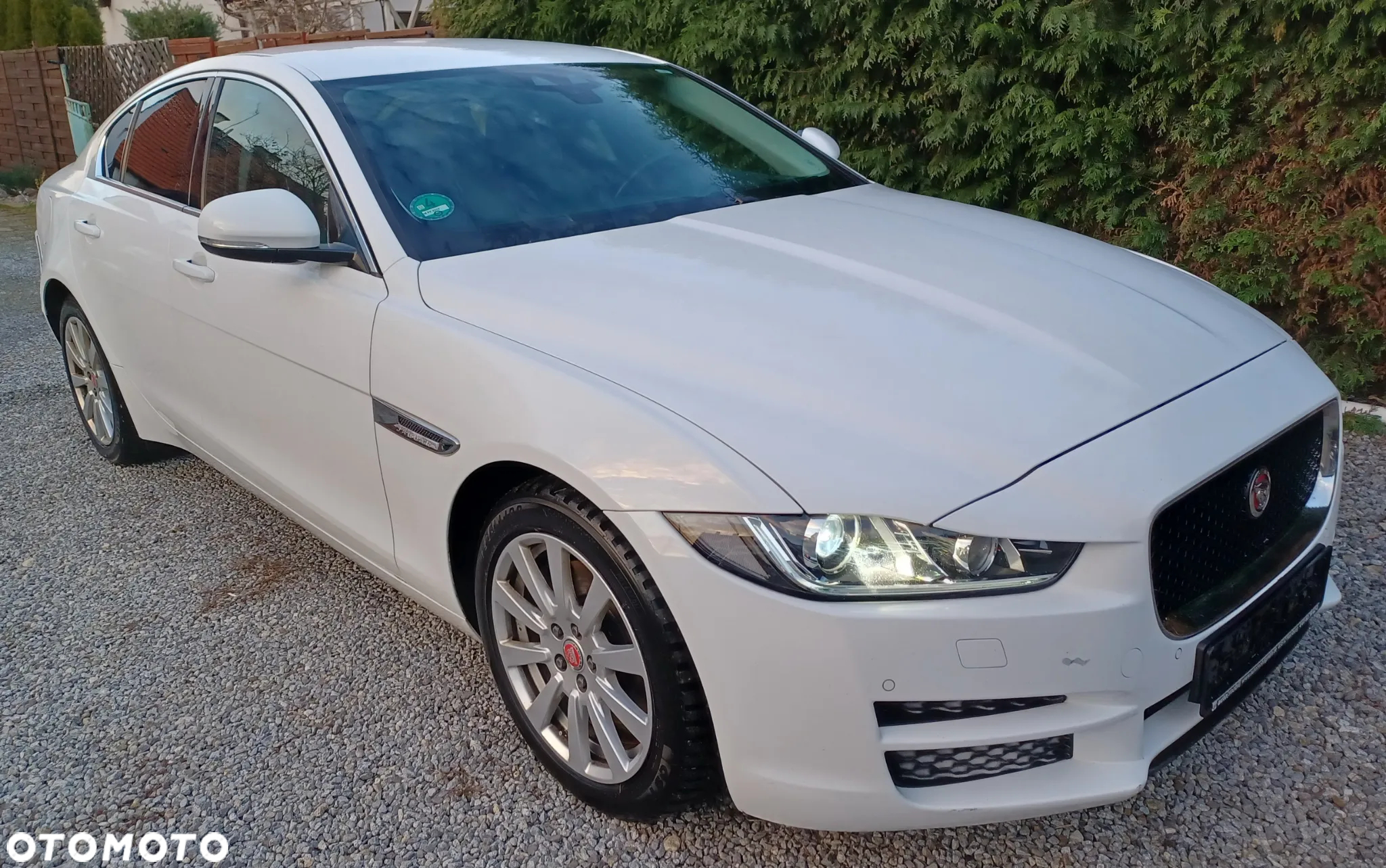 Jaguar XE - 2