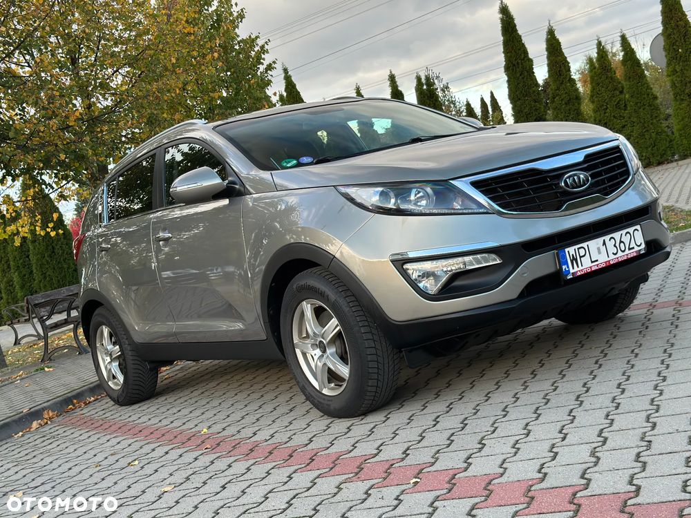 Kia Sportage - 31