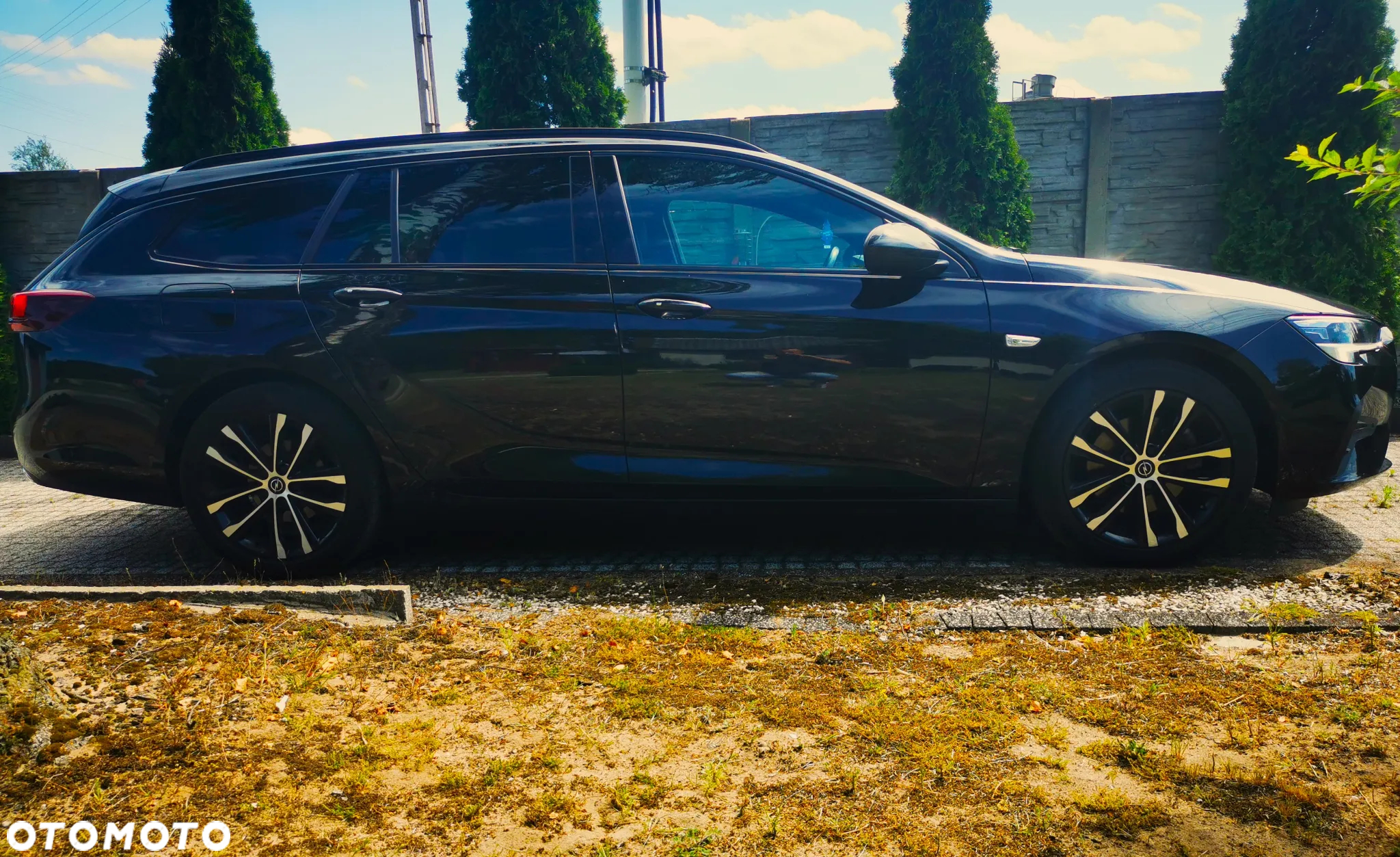 Opel Insignia 2.0 CDTI Business Elegance S&S - 22