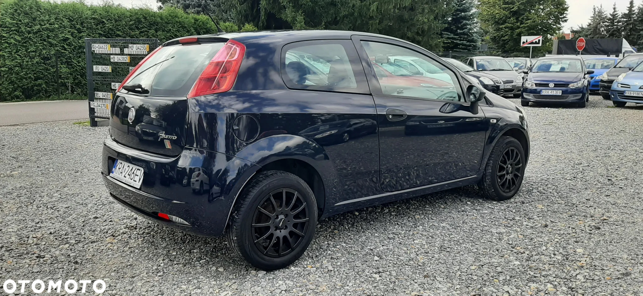 Fiat Punto - 18