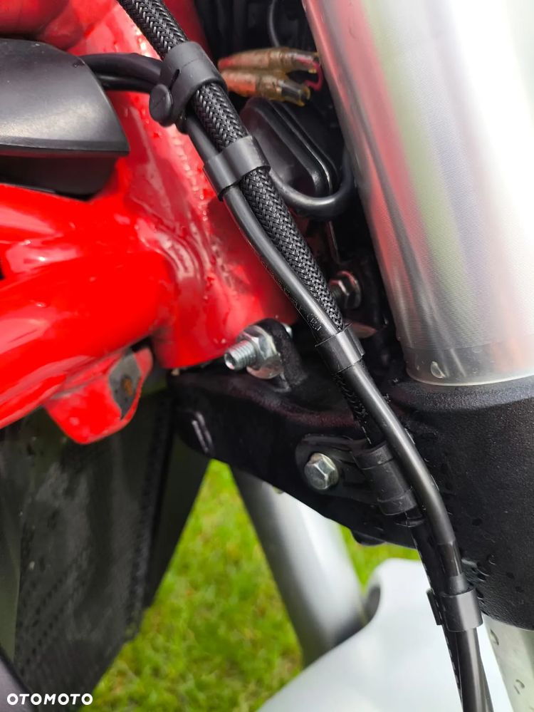 Ducati Monster - 19