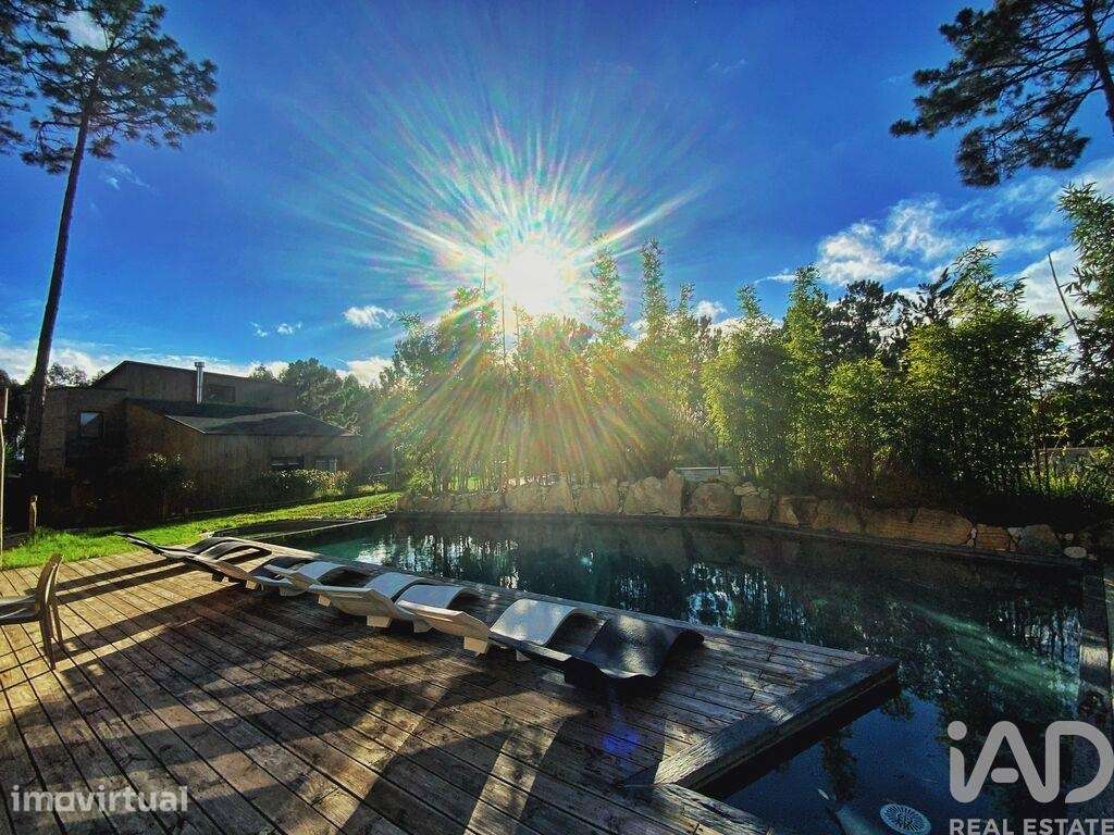 Parque de campismo T27 em Atouguia da Baleia de 9387,00 m2 - Grande imagem: 5/12