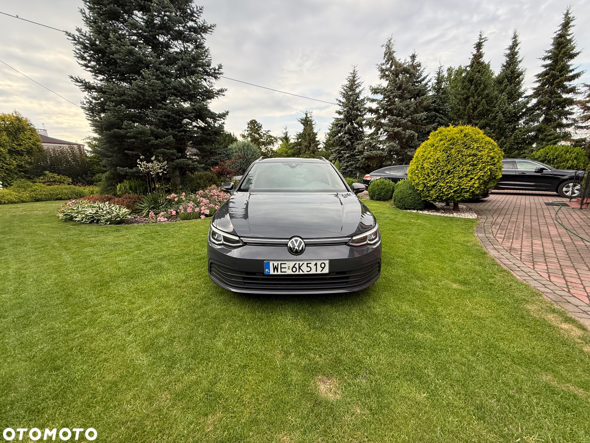 Volkswagen Golf VIII 1.0 TSI Life - 4