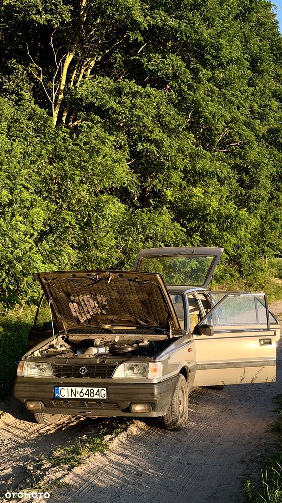 Polonez Caro - 16