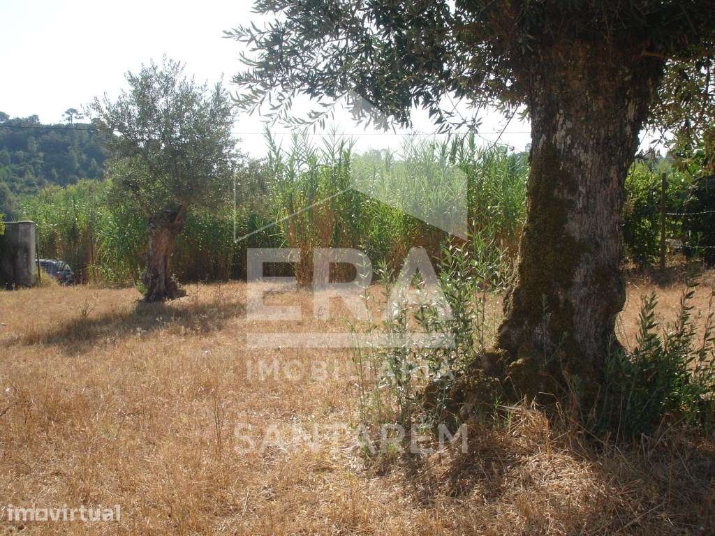 Terreno com 1235 m2 com Possibilidade de Construção Moradia - Grande imagem: 2/6