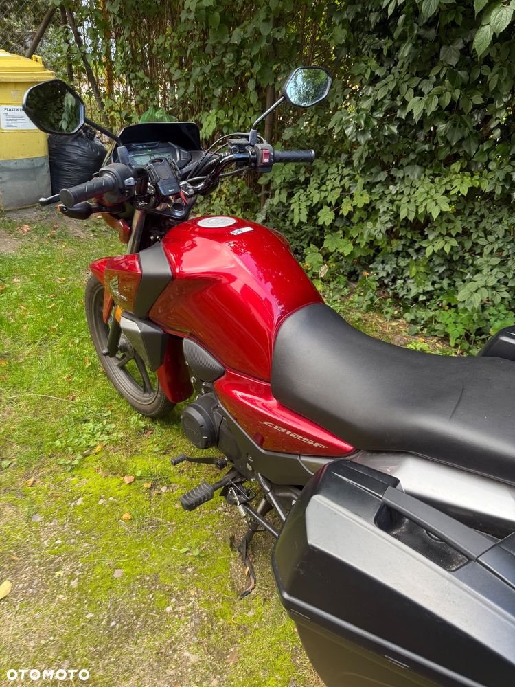 Honda CBF - 5