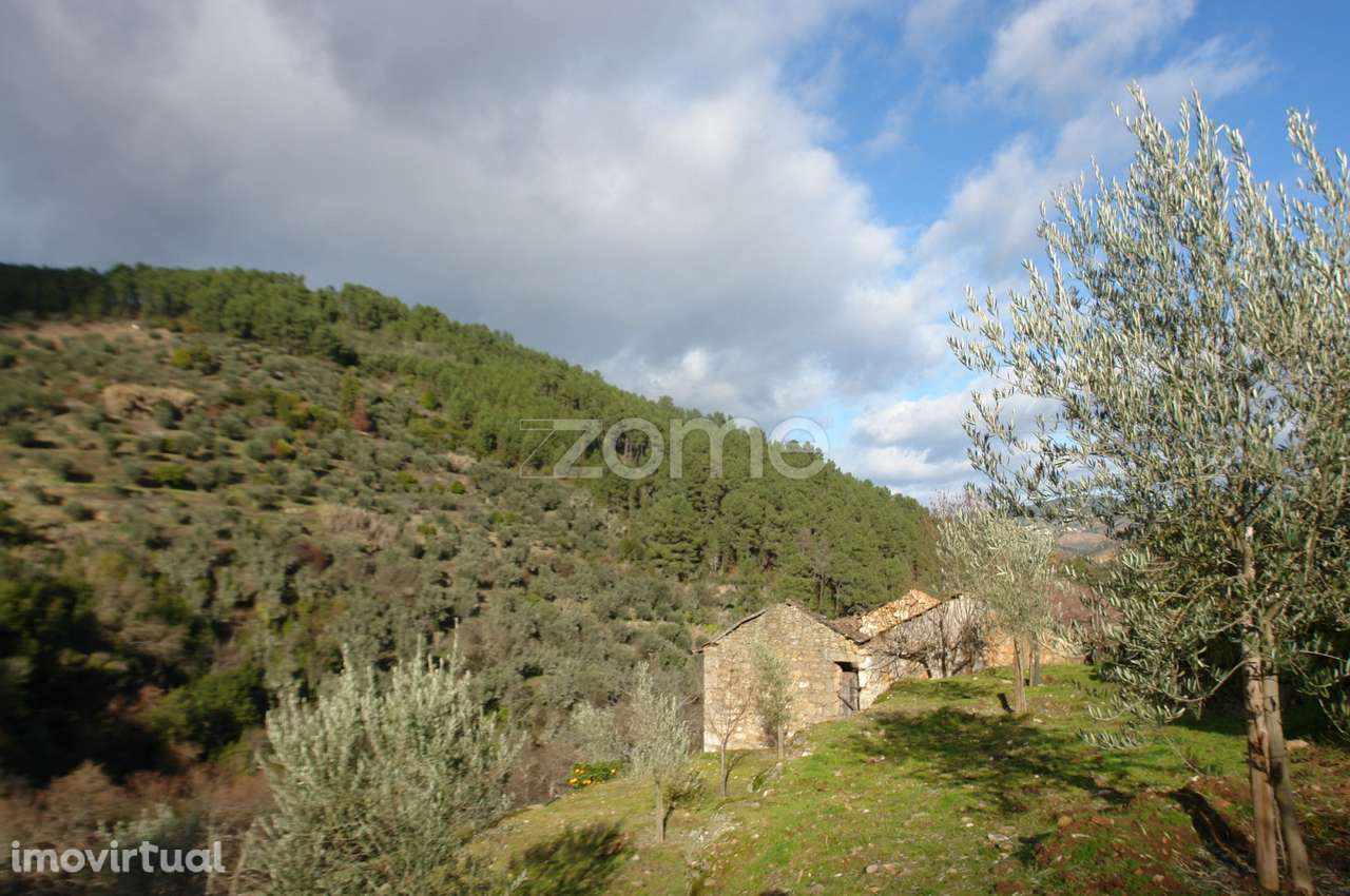 Quinta do Cubo – Refúgio Sustentável no Coração do Douro - Grande imagem: 5/31