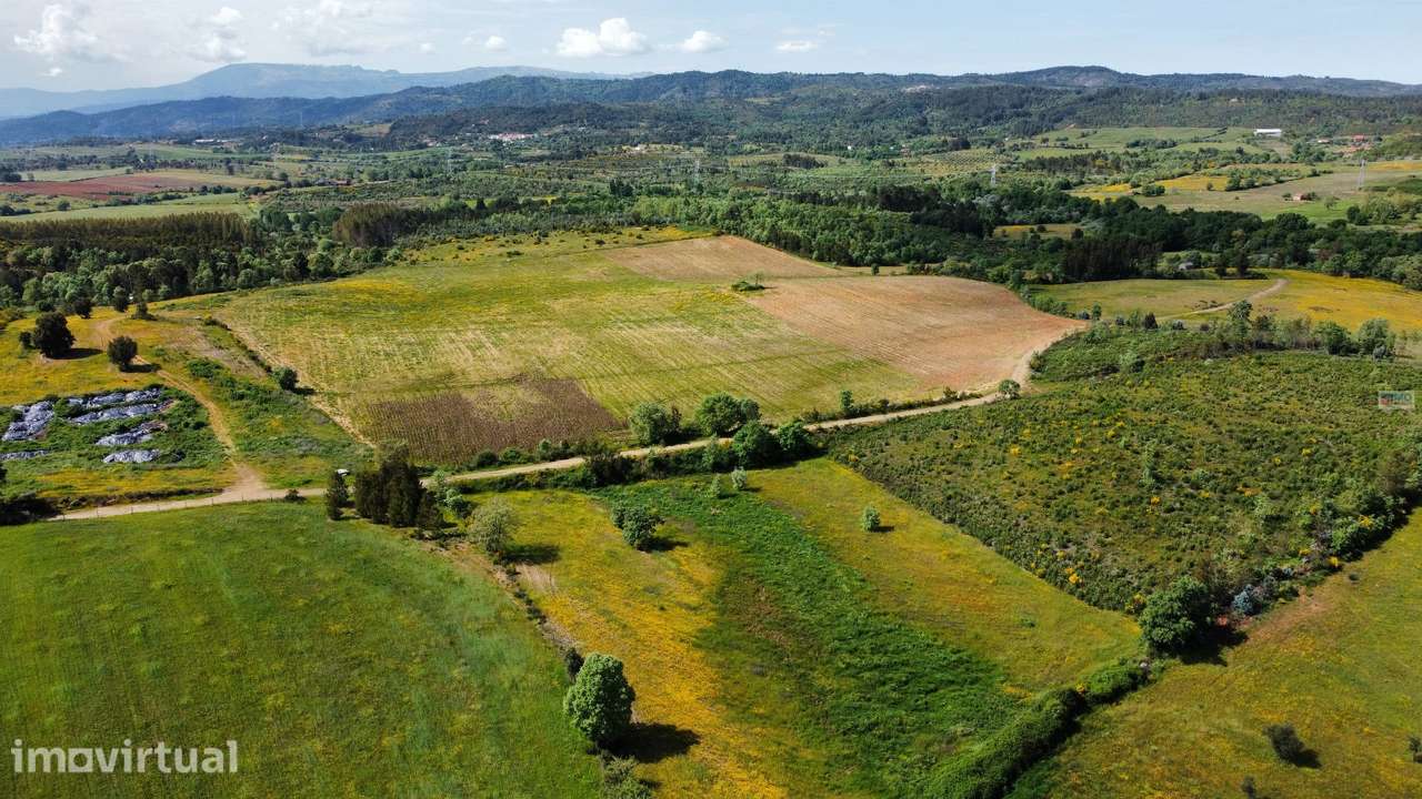 Terreno c/ Regadio - entre Fatela e Capinha - Grande imagem: 3/10