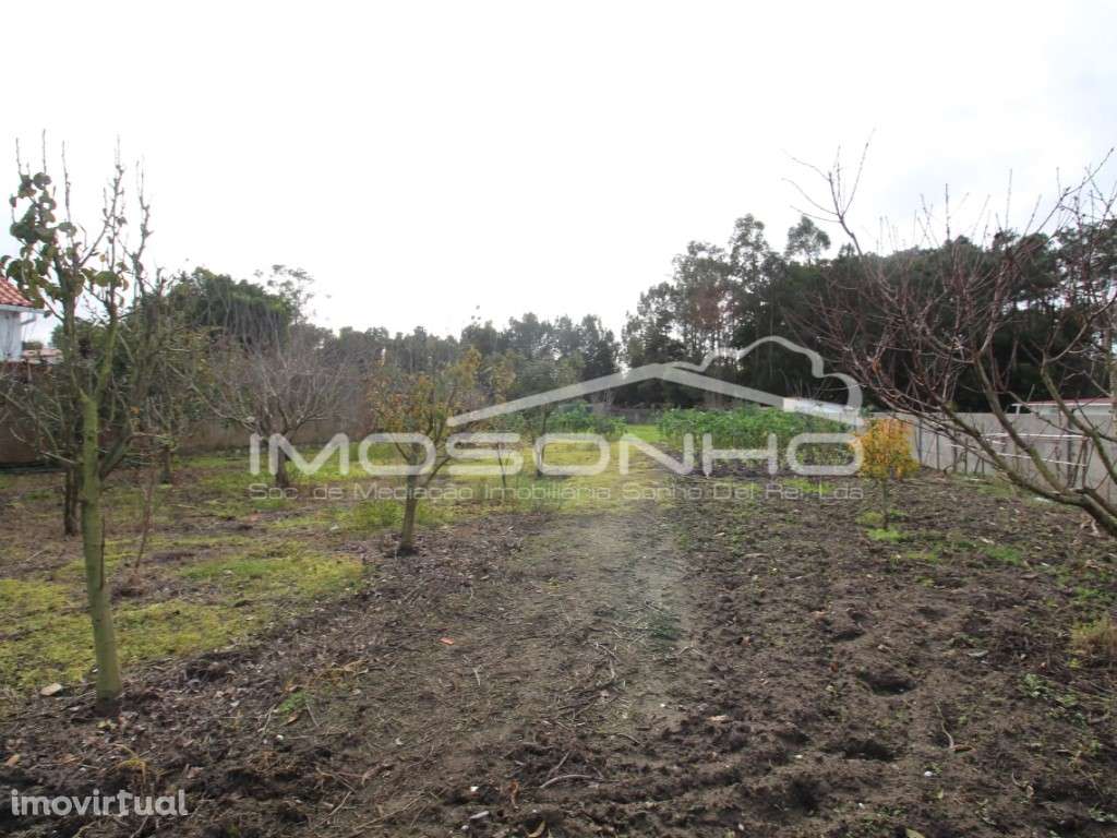 Terreno Urbano - Grande imagem: 3/9