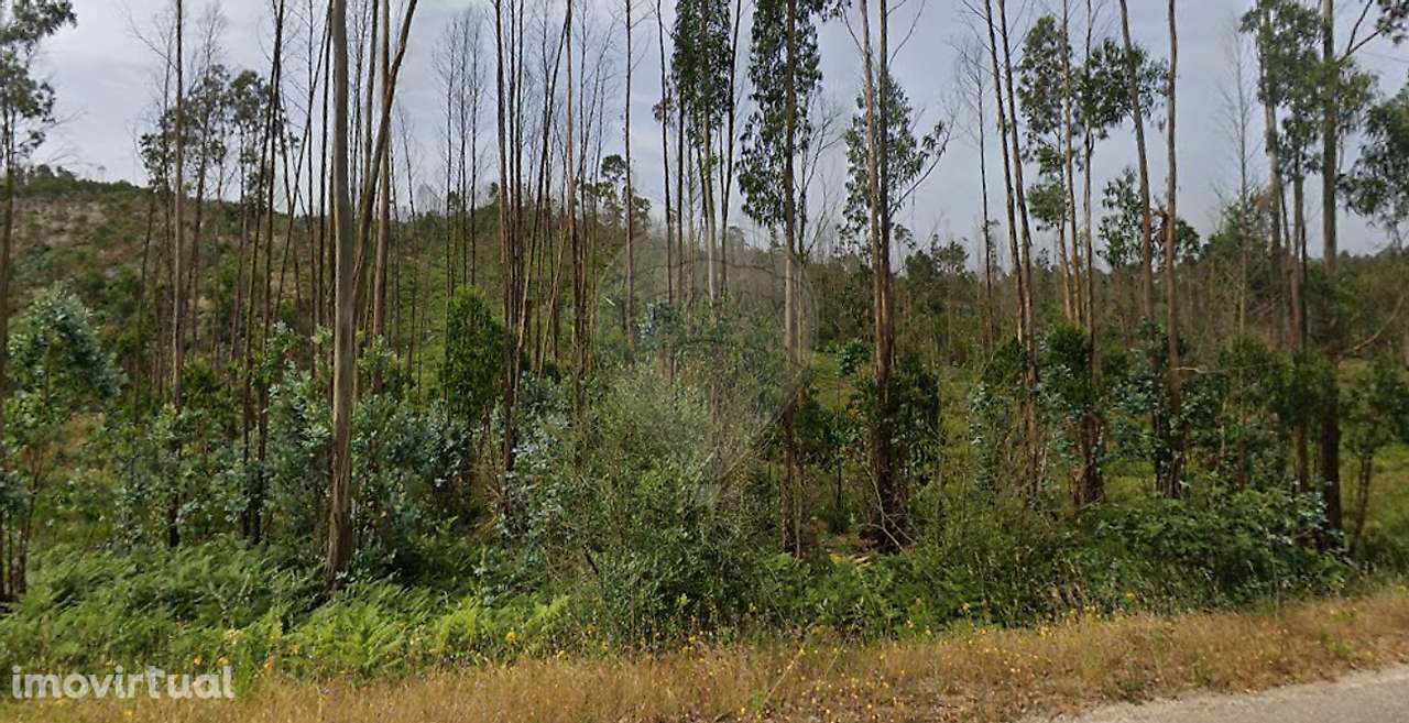 Terreno  para venda - Grande imagem: 2/12