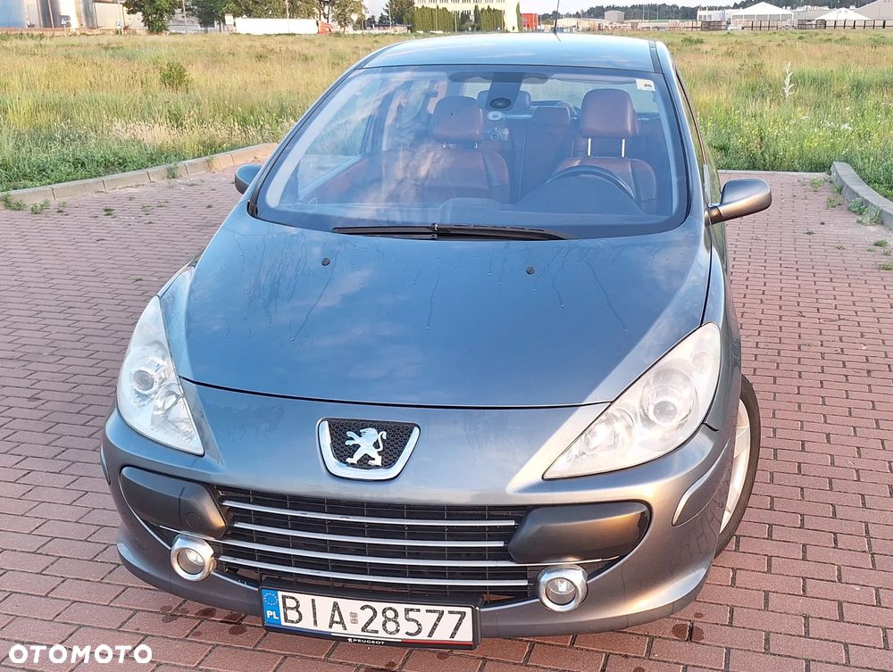 Peugeot 307 2.0 Sporty - 4