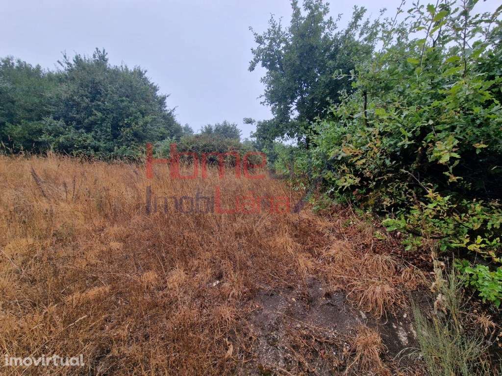 Terreno em Vila Cova à Coelheira com viabilidade de construção - Grande imagem: 3/25