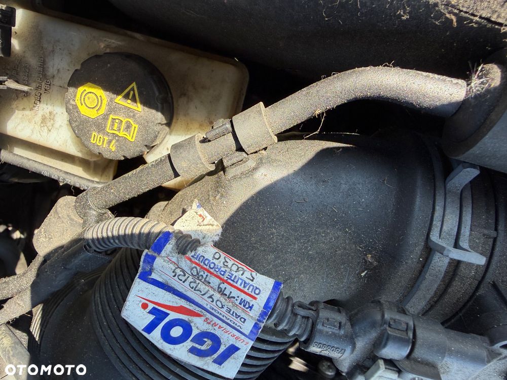 Volkswagen Golf 1.6 TDI BlueMotion Technology Allstar - 11