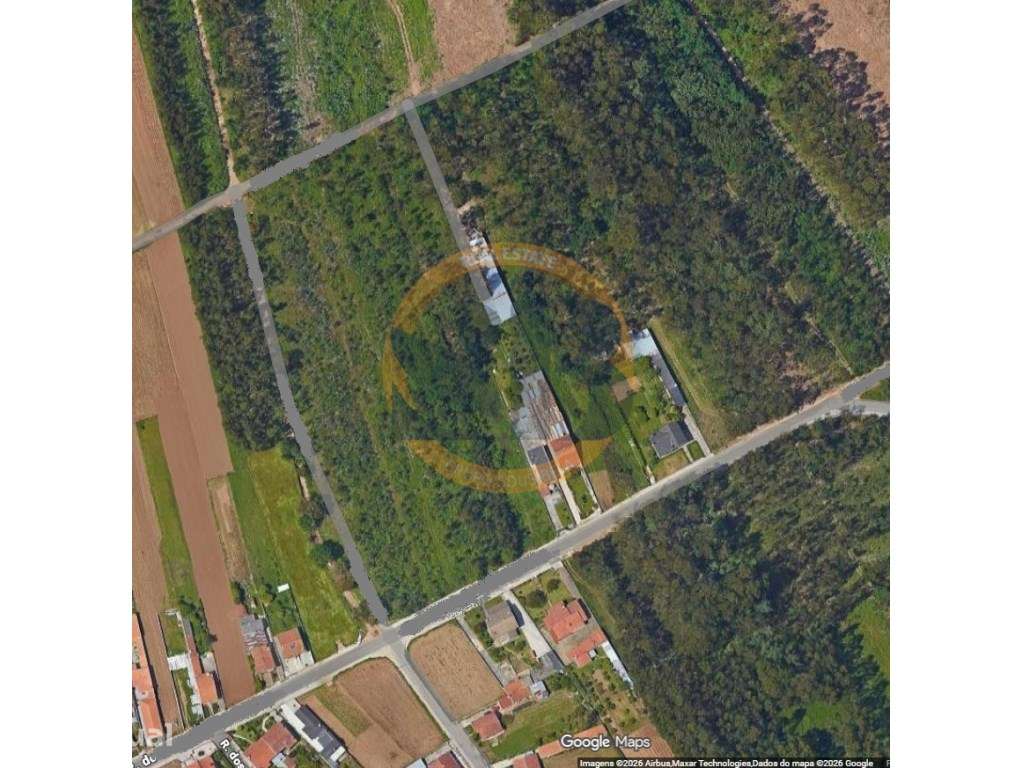 Terreno São João Ovar - Grande imagem: 5/5