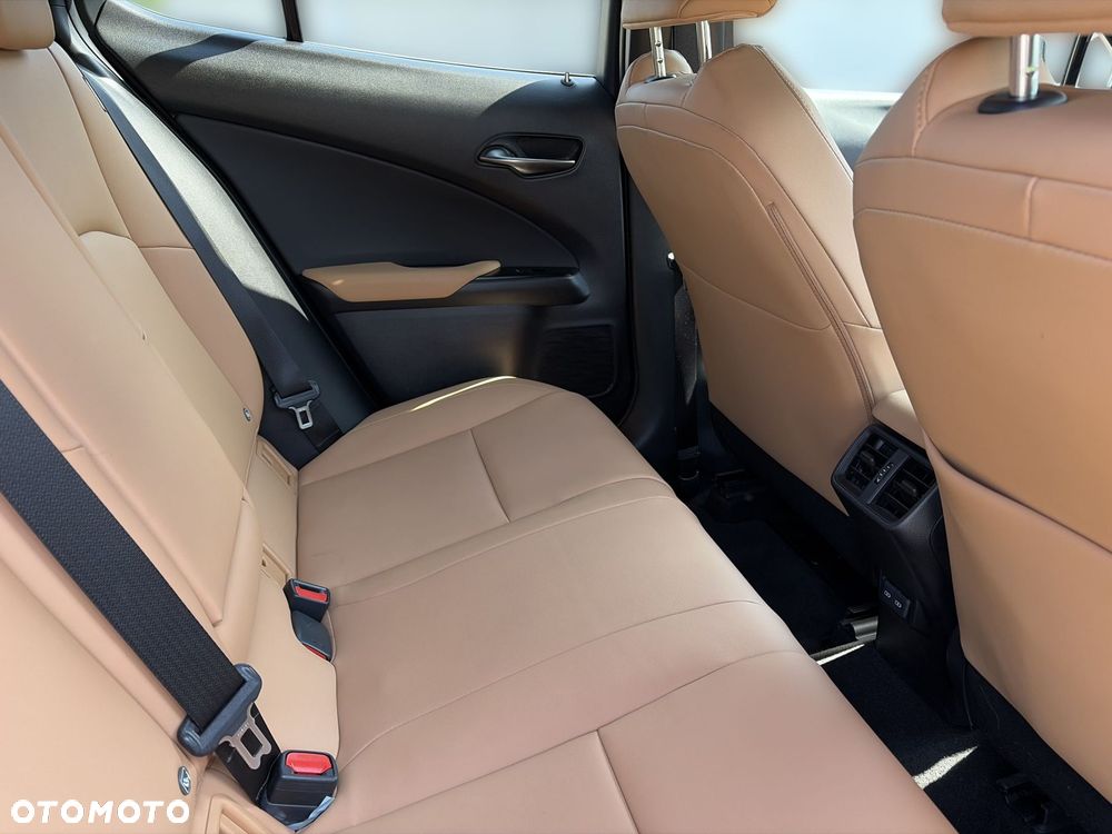 Lexus UX 250h GPF F Sport Design 2WD - 10