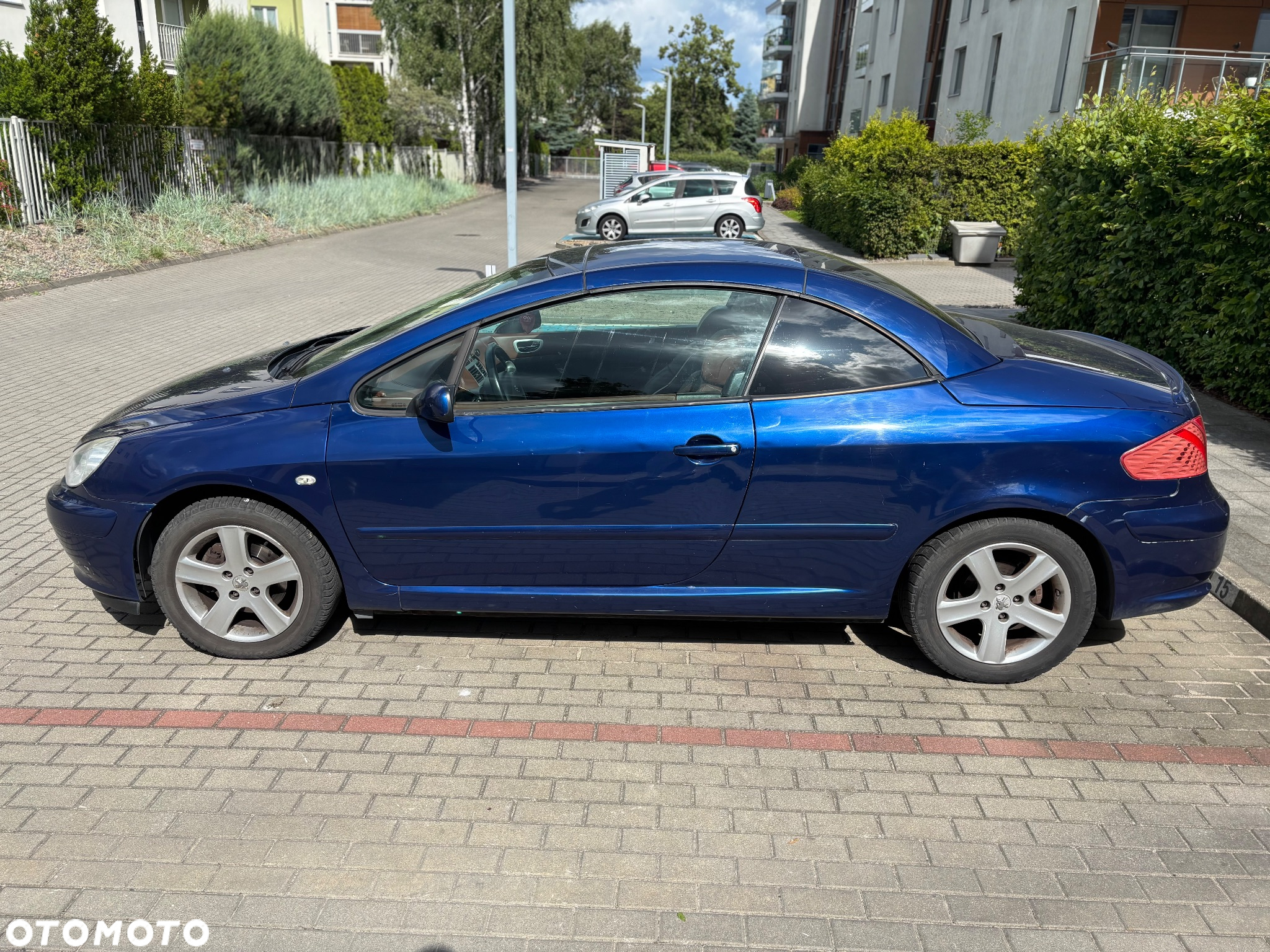 Peugeot 307 CC 1.6 - 7