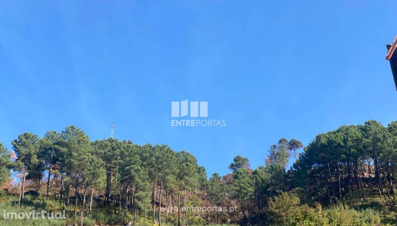 Venda Terreno, São Cristóvão de Nogueira, Cinfães - Grande imagem: 3/8