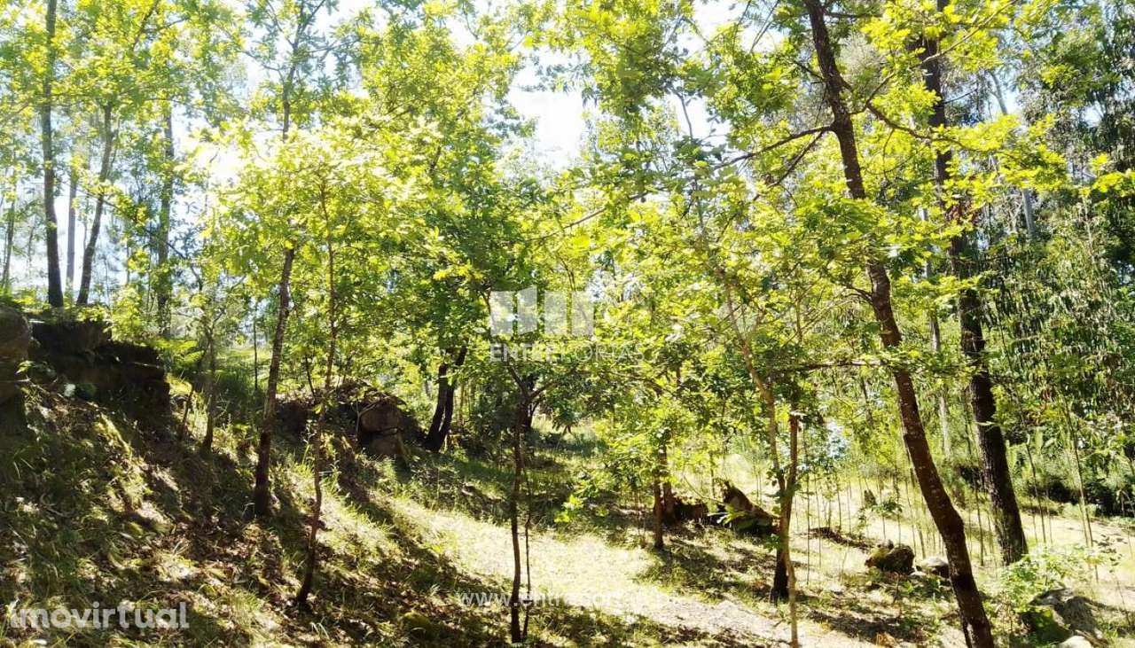 Venda Terreno, Praia Fluvial, Espadanedo, Cinfães - Grande imagem: 2/35