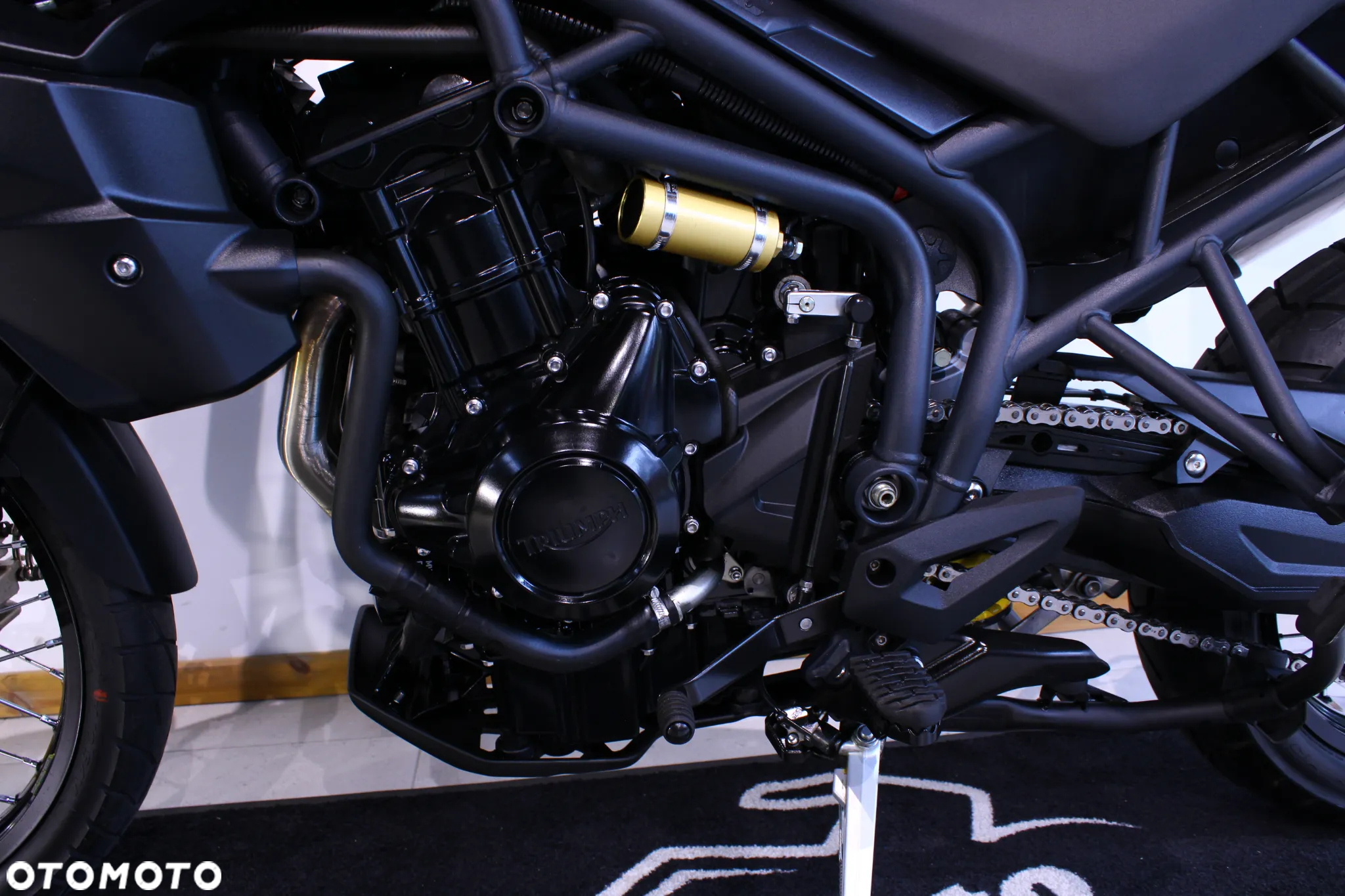 Triumph Tiger - 27