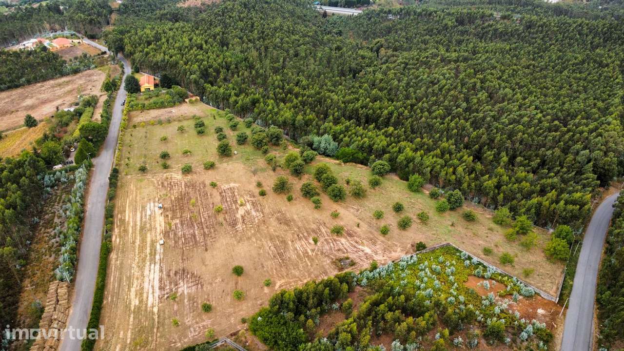 Quinta Exclusiva em Canedo – 21.860 m² de Potencial e Tradição - Grande imagem: 2/17