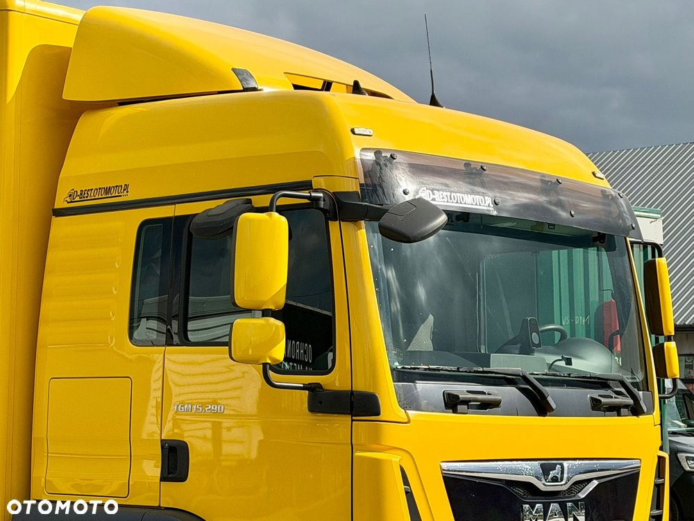 MAN TGM 15.290 / KONTENER / WINDA / 18 EUROPALET / 16 T DMC / AUTOMAT / EURO 6 / SYPIALKA / 2019 ROK - 9
