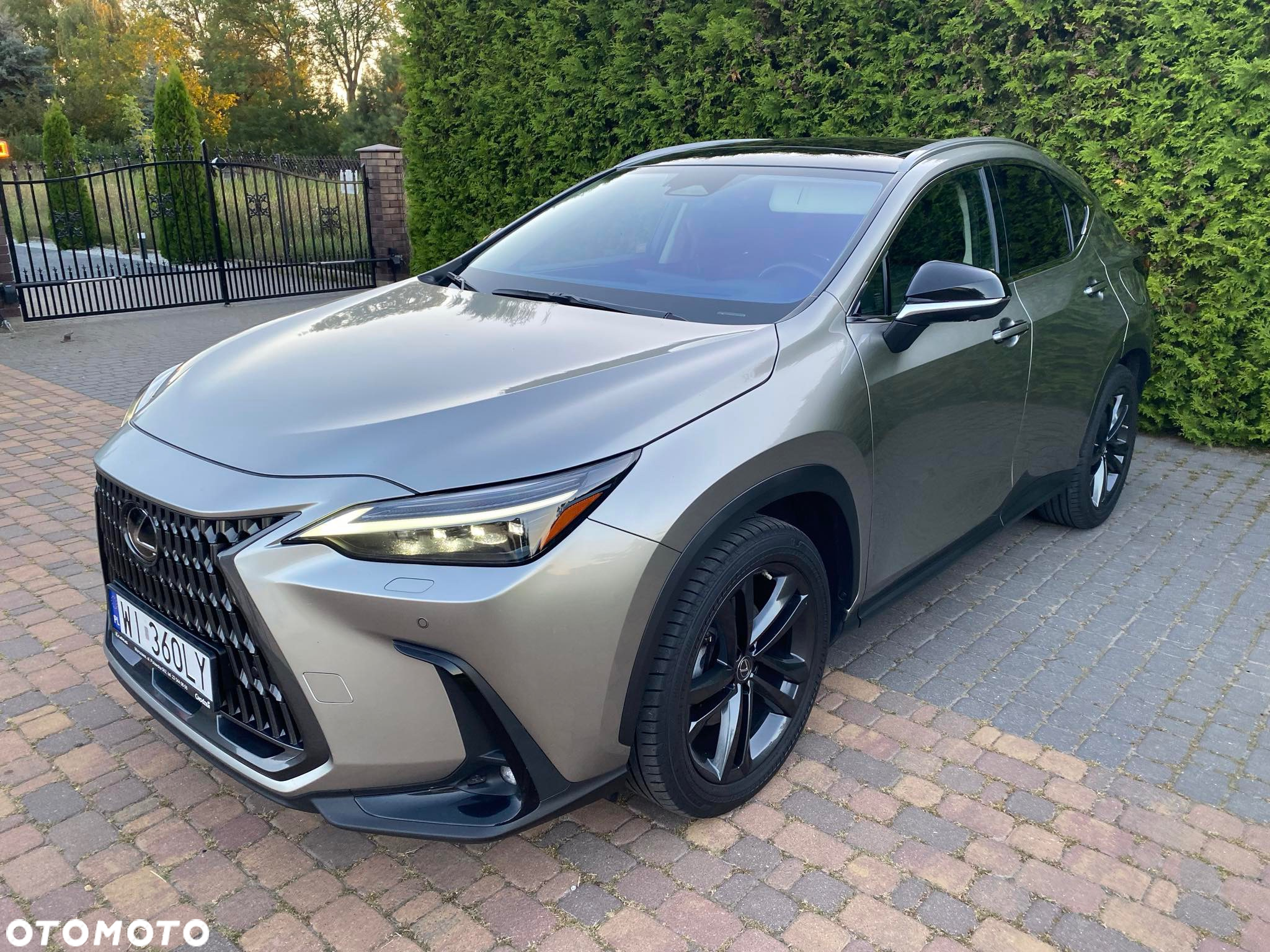 Lexus NX - 2