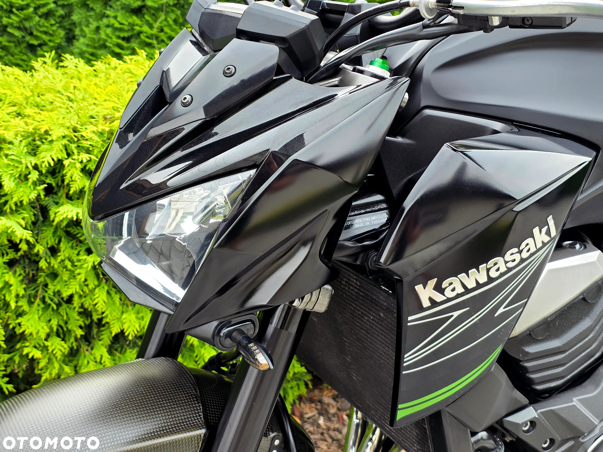 Kawasaki Z - 37