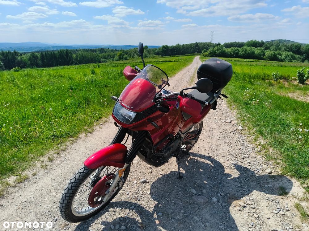 Kawasaki KLE - 10