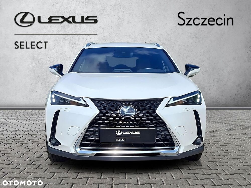 Lexus UX 250h GPF Business 2WD - 8
