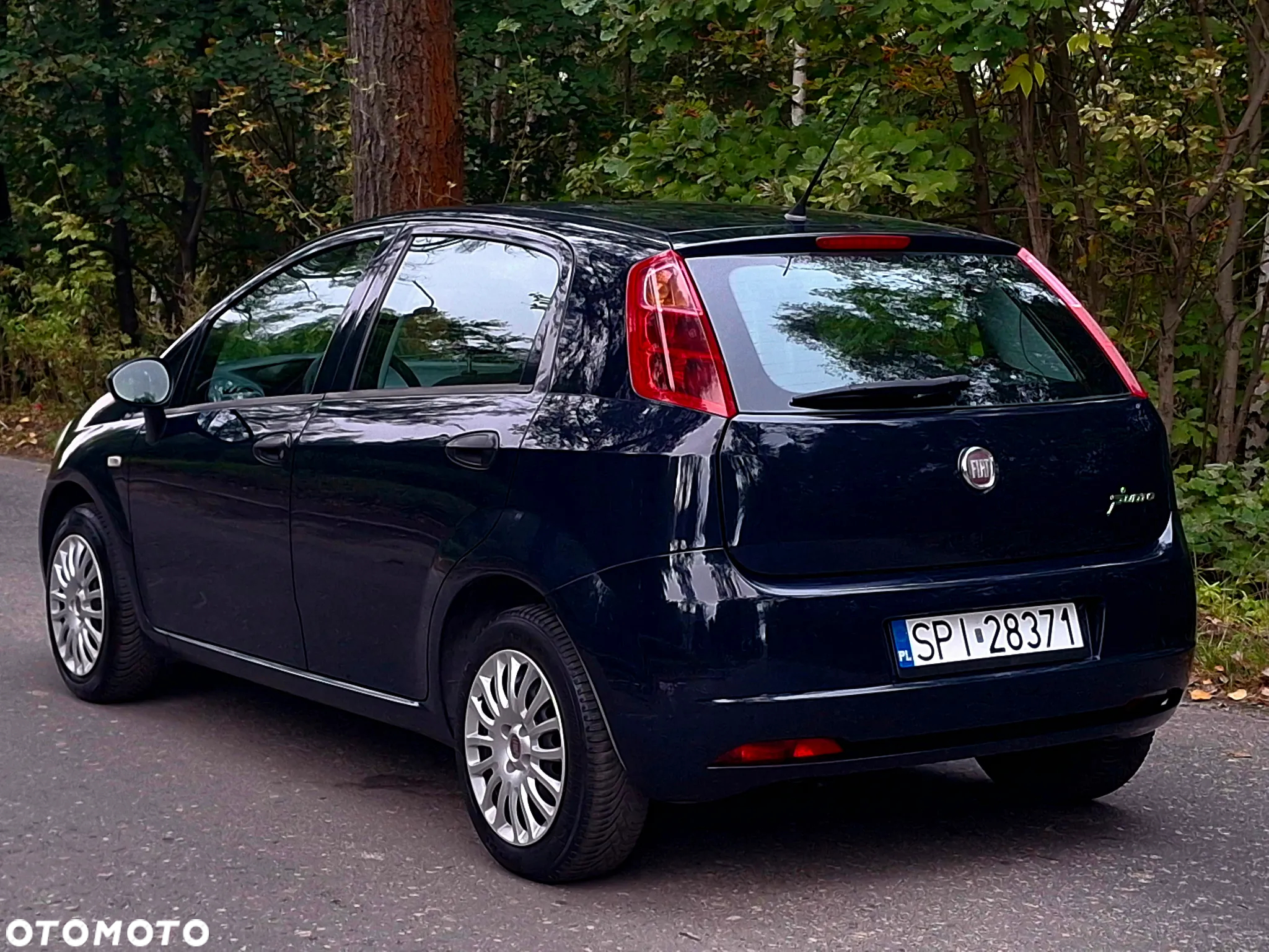 Fiat Grande Punto Actual 1.2 8V Estiva - 4