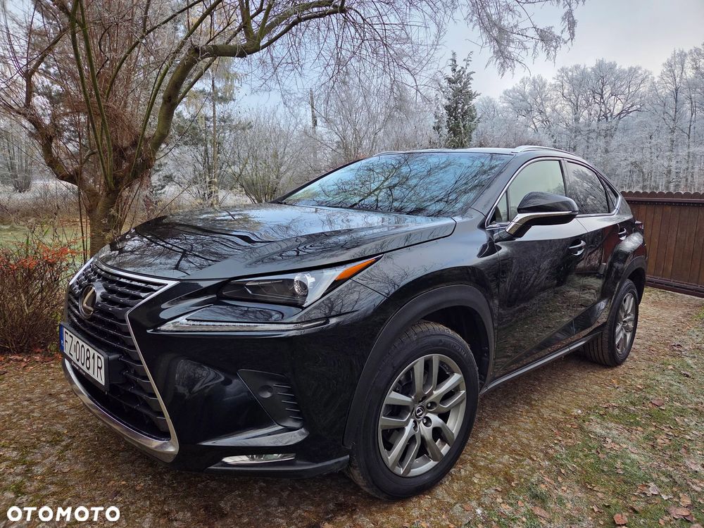 Lexus NX 300 Comfort AWD - 2