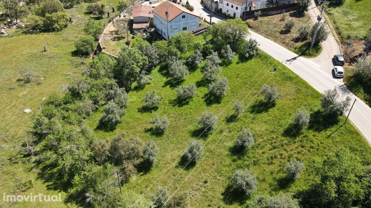 Terreno Rústico localizado em Abiul, Pombal, Leiria - Grande imagem: 3/19