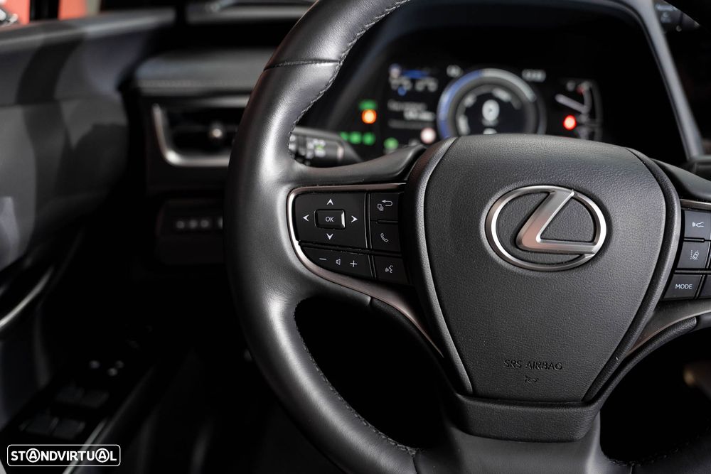 Lexus UX 250h F Sport - 21