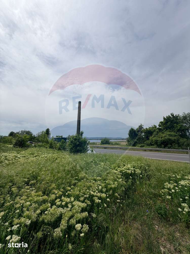Teren 11,000mp Hinova / DN DN56A - Imagine principală: 4/4