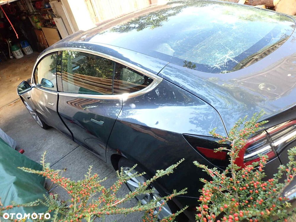 Tesla Model 3 2019 photo 4