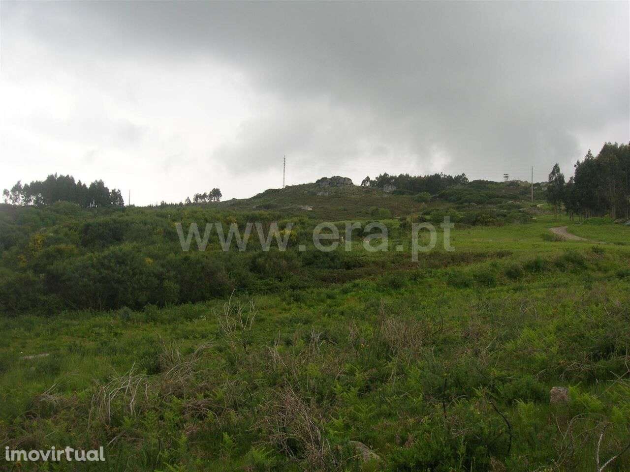 Quintinha / Marco de Canaveses, Penhalonga e Paços de Gaiolo - Grande imagem: 4/10