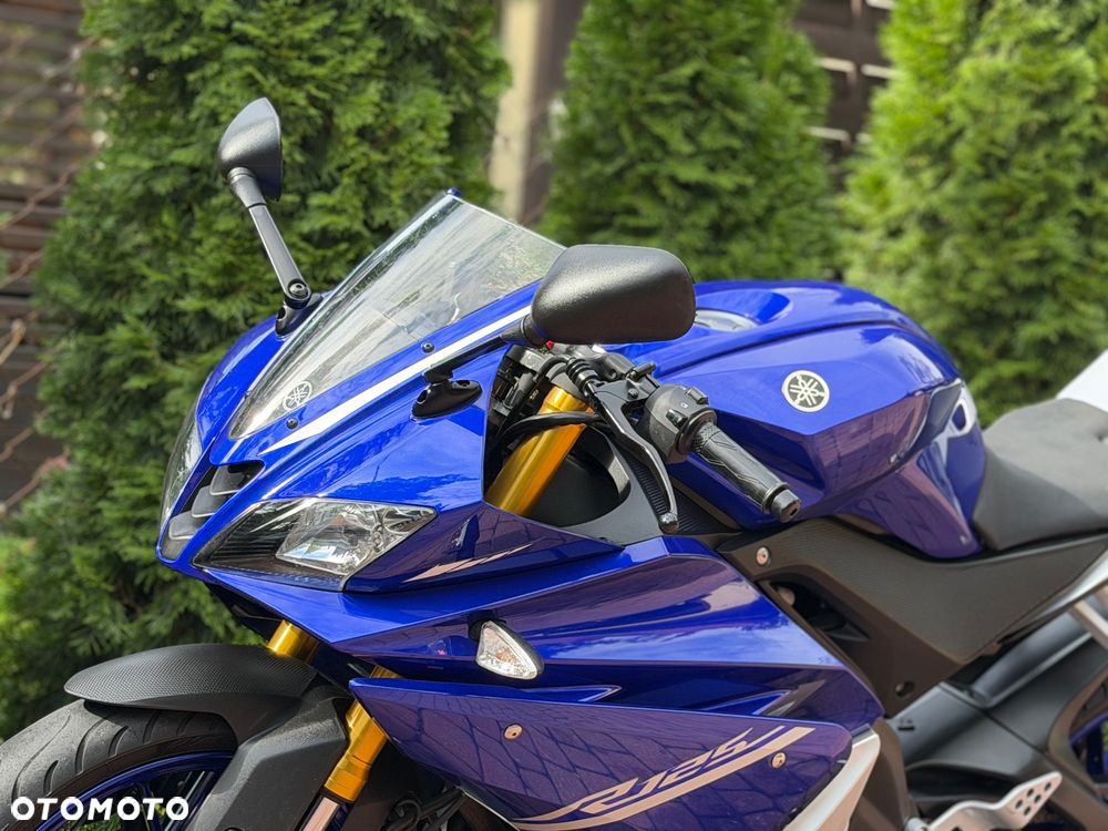Yamaha YZF - 17