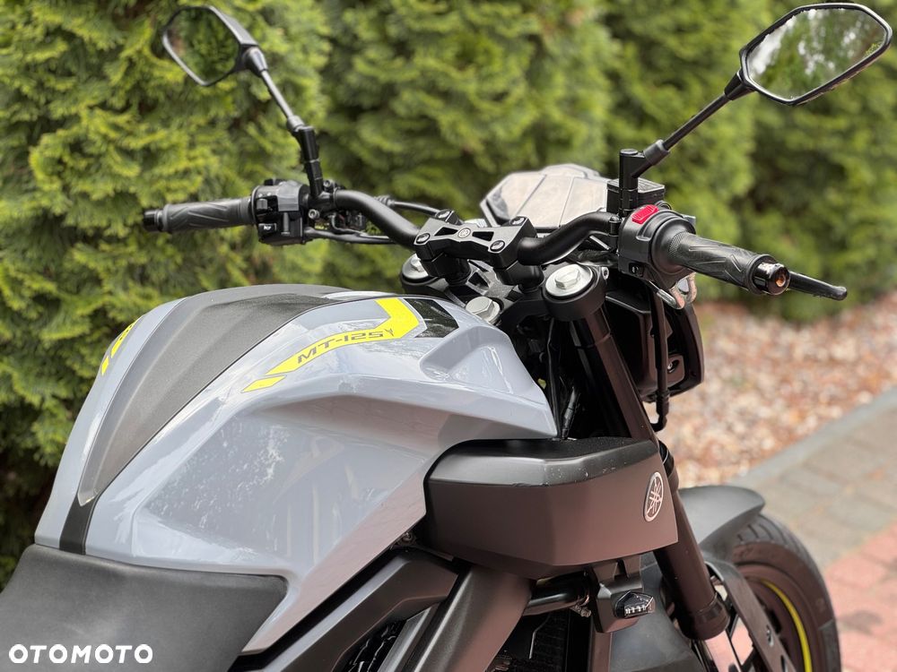 Yamaha MT - 14