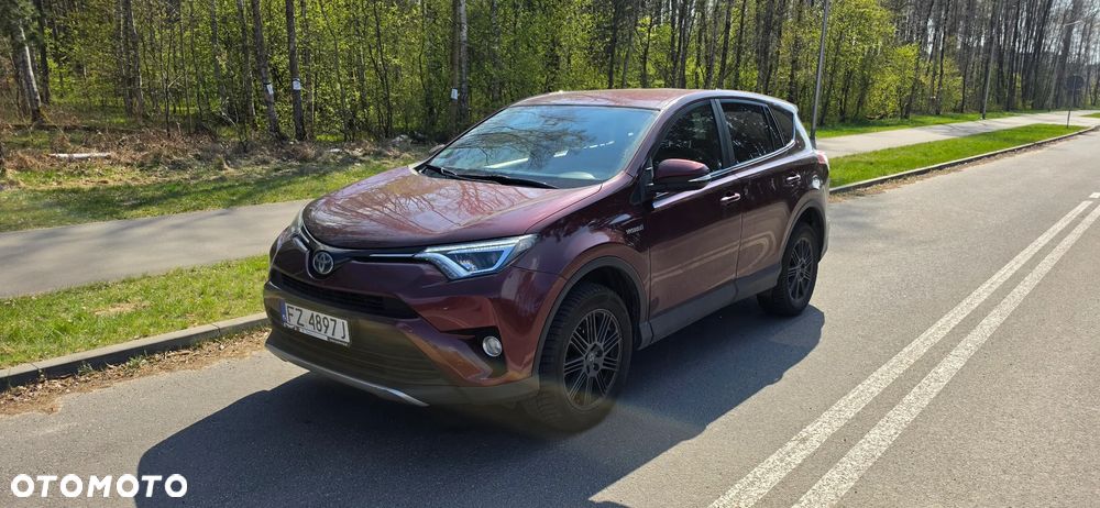Toyota RAV4 Hybrid Premium 4x2 - 1