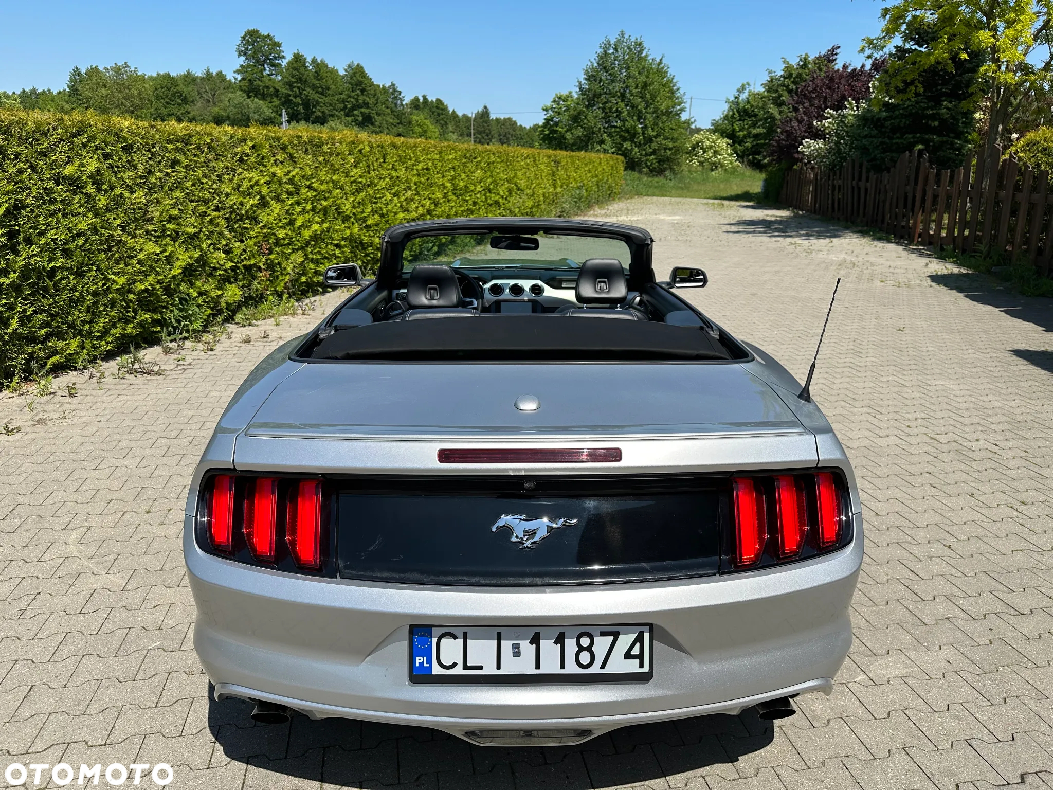 Ford Mustang Cabrio 2.3 Eco Boost - 11