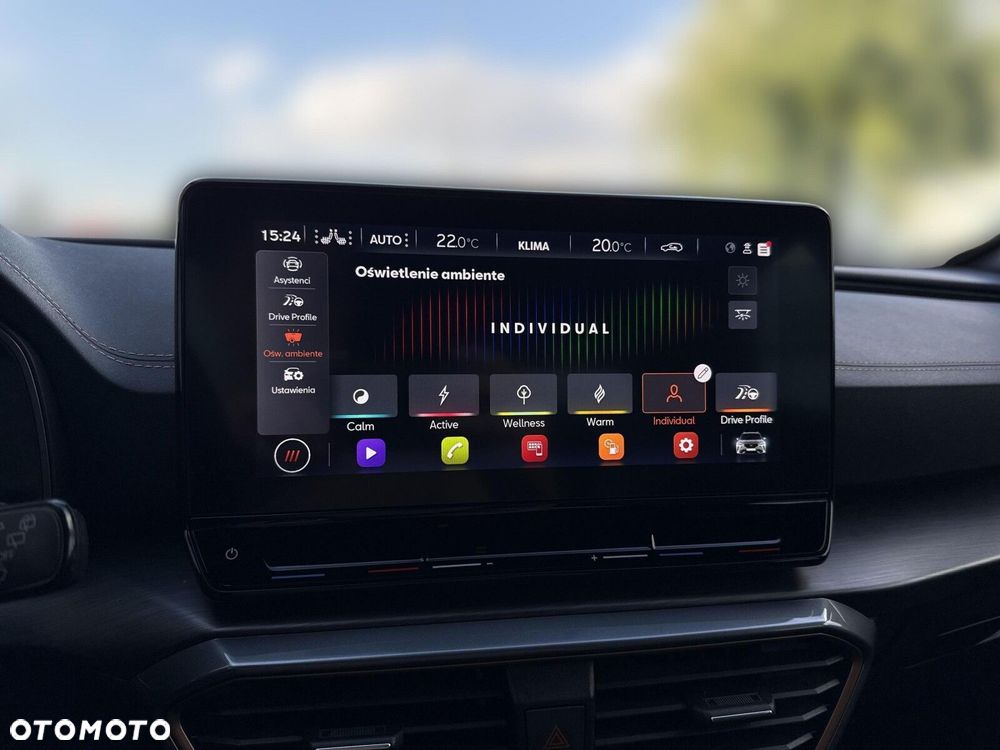 Cupra Formentor - 25