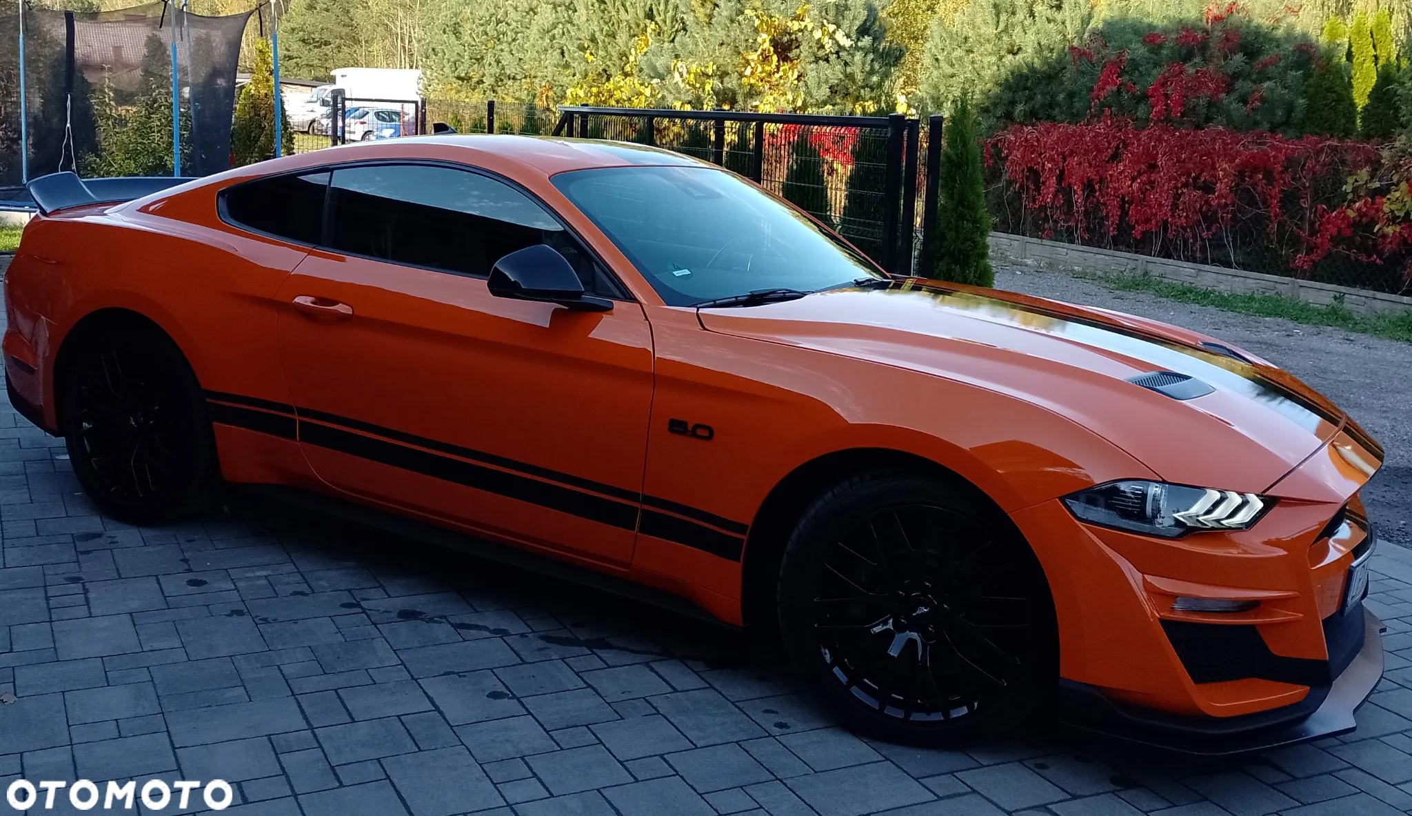 Ford Mustang - 9