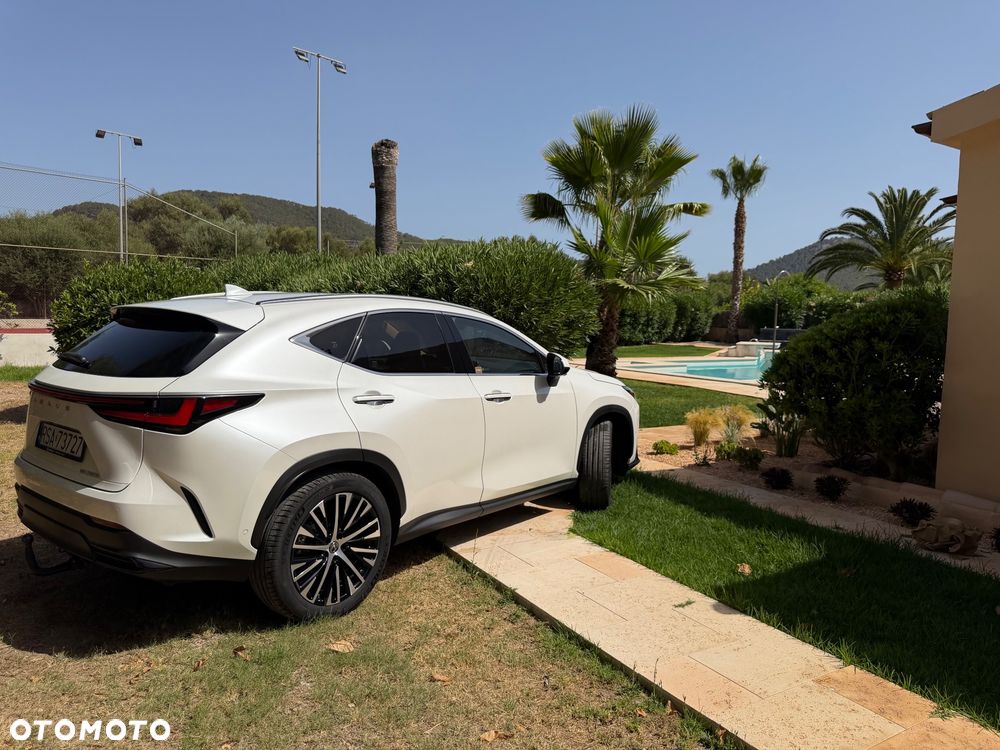 Lexus NX 350h Omotenashi AWD - 18