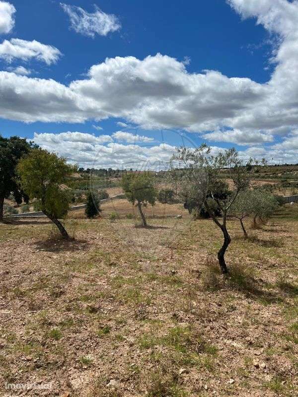 Terreno  para venda - Grande imagem: 4/6