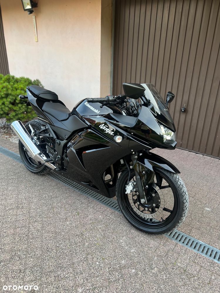 Kawasaki Ninja 250R - 2