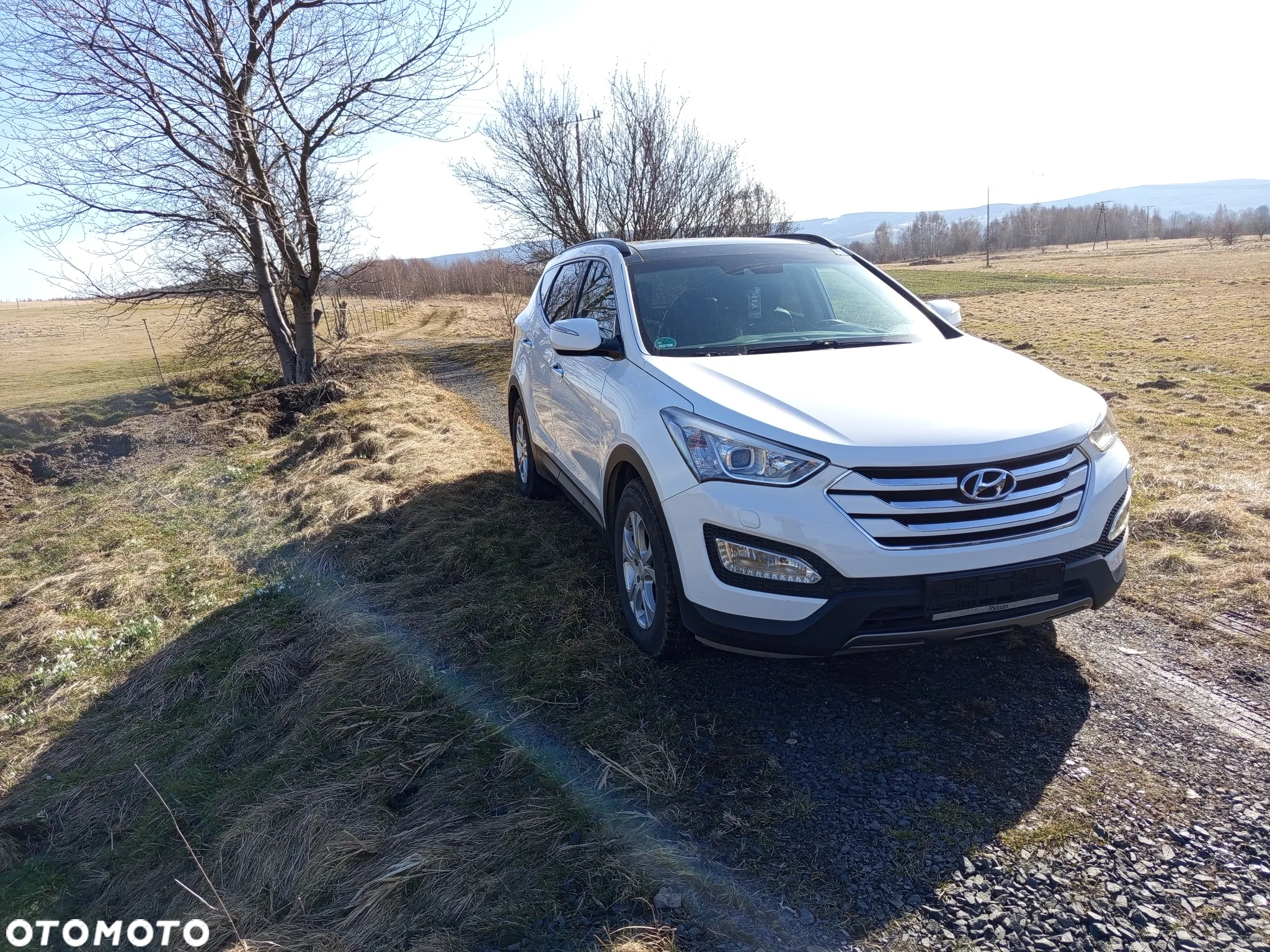 Hyundai Santa Fe 2.2 CRDi 2WD Style - 3